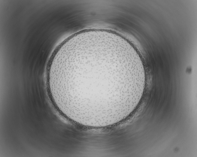 X0000116330990201001131020