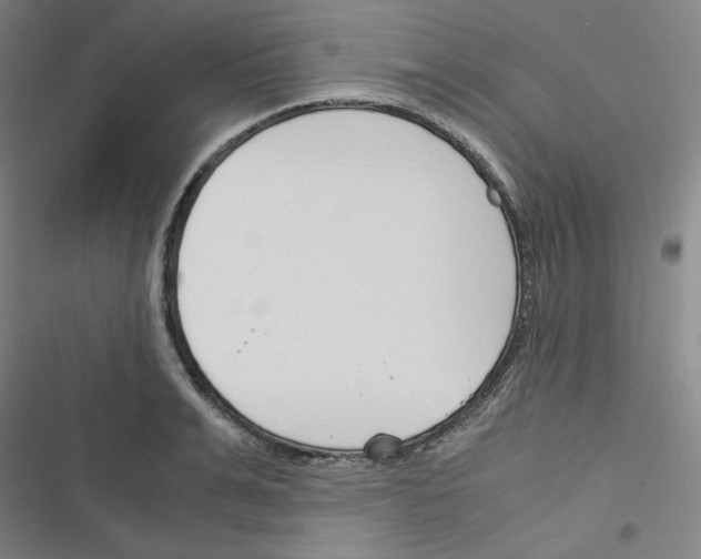 X0000116330991201001131020