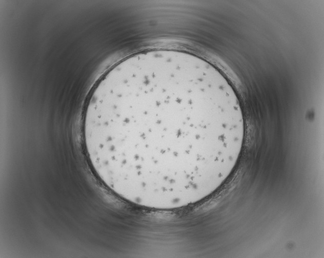 X0000116330994201001131020