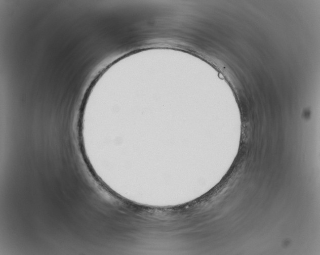 X0000116330995201001131020