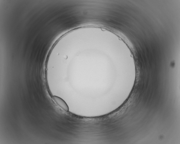 X0000116330996201001131020