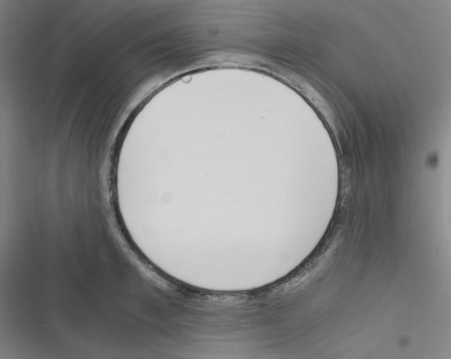 X0000116330997201001131020