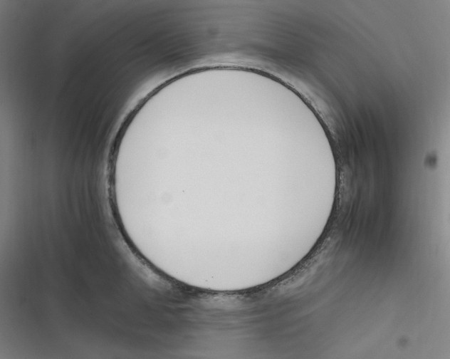 X0000116330998201001131020