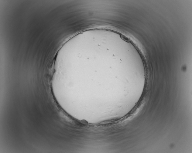 X0000116331001201001131020