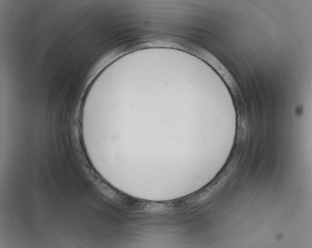 X0000116331002201001131020