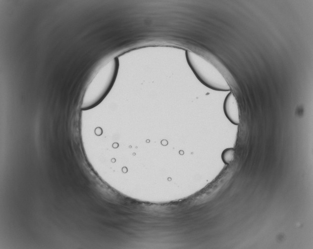 X0000116331004201001131020