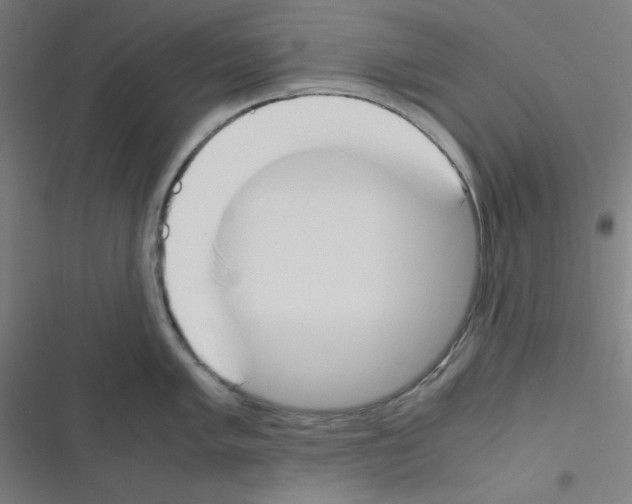 X0000116331005201001131020