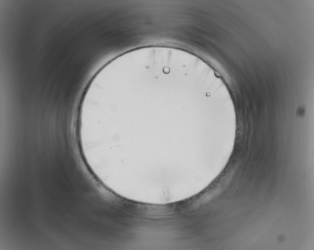 X0000116331007201001131020