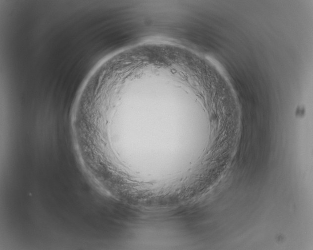 X0000116331008201001131020