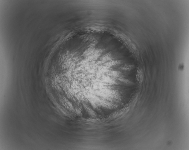 X0000116331009201001131020