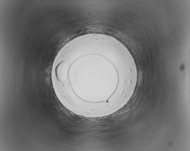 X0000116331010201001131020