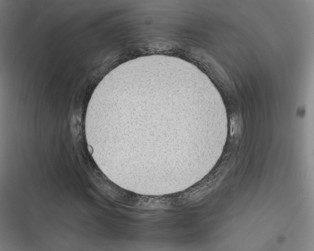 X0000116331011201001131020