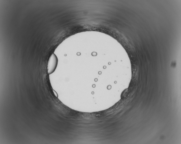 X0000116331012201001131020