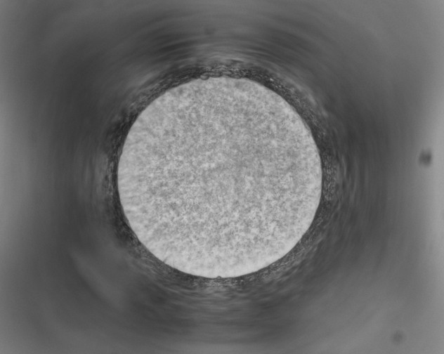 X0000116331013201001131020