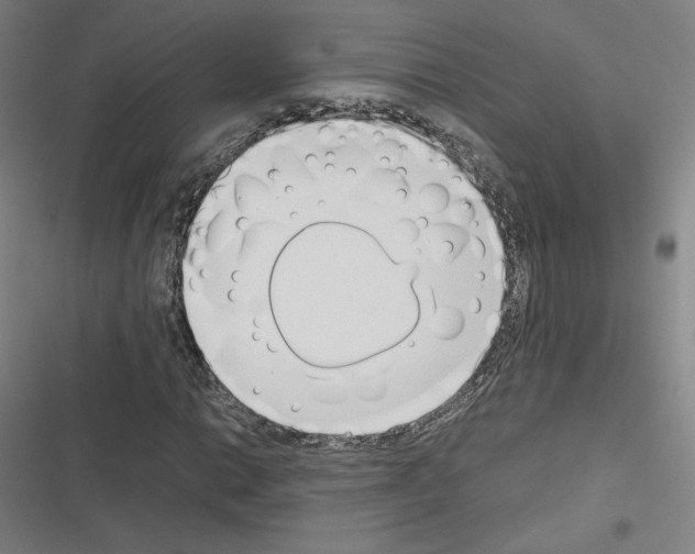 X0000116331014201001131020