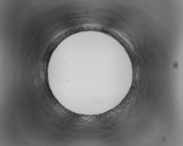 X0000116331015201001131020