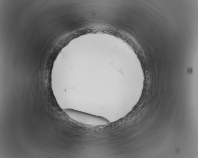X0000116331016201001131020