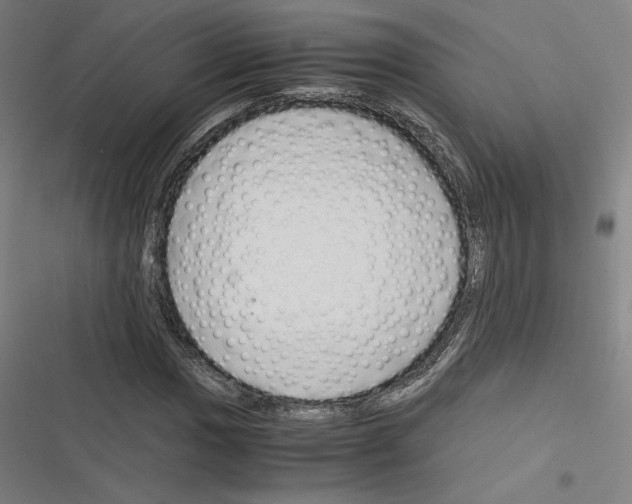 X0000116331017201001131020