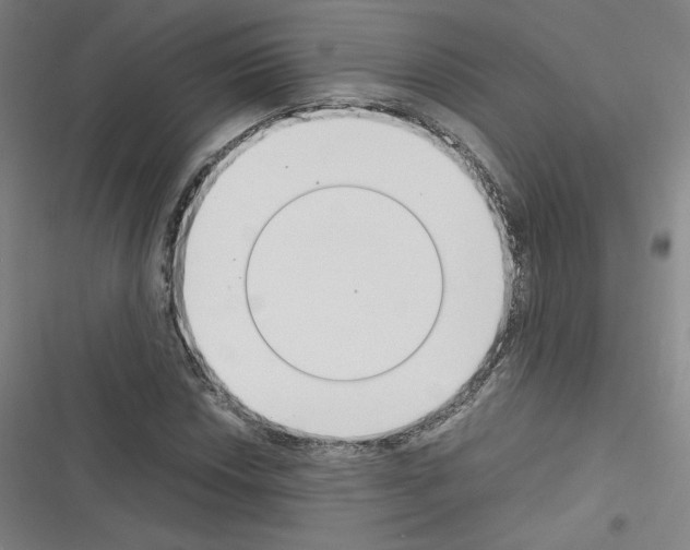 X0000116331018201001131020