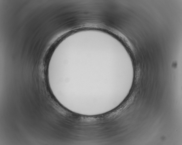 X0000116331019201001131020