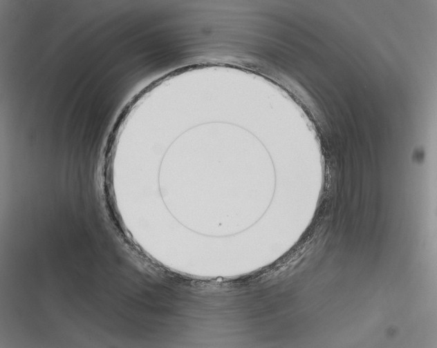 X0000116331020201001131020