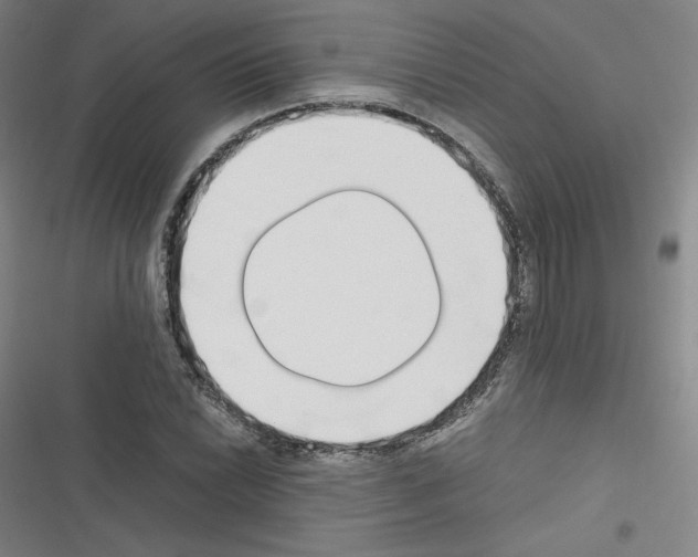 X0000116331022201001131020