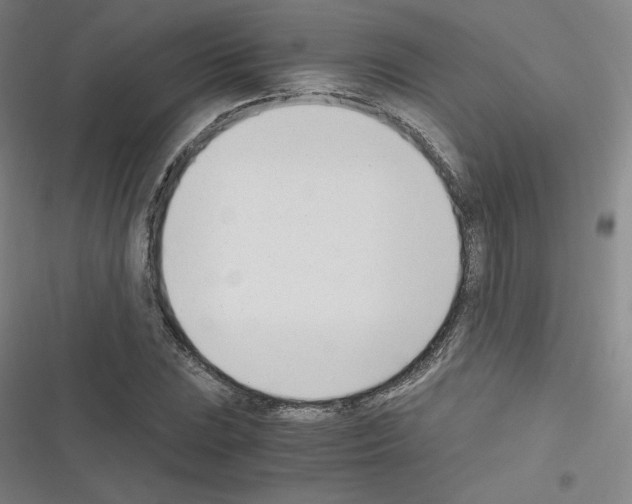 X0000116331023201001131020
