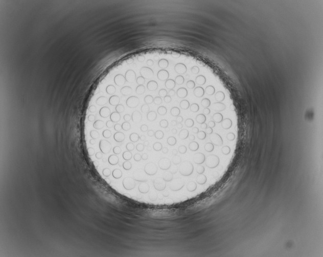 X0000116331025201001131020