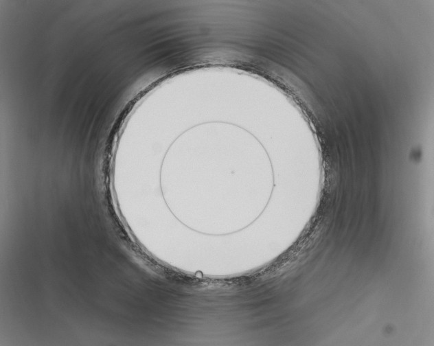X0000116331026201001131020