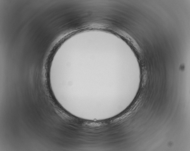 X0000116331027201001131020