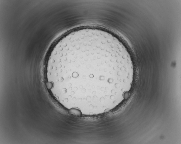 X0000116331029201001131020