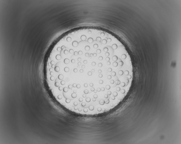 X0000116331030201001131020