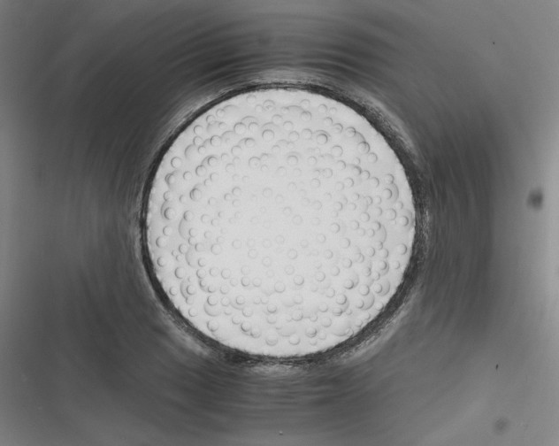 X0000116331033201001131020