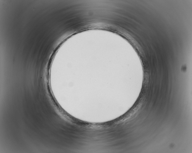 X0000116331034201001131020
