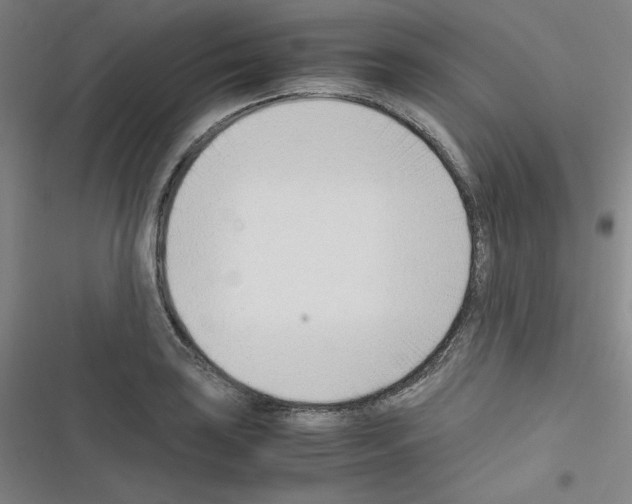 X0000116331035201001131020