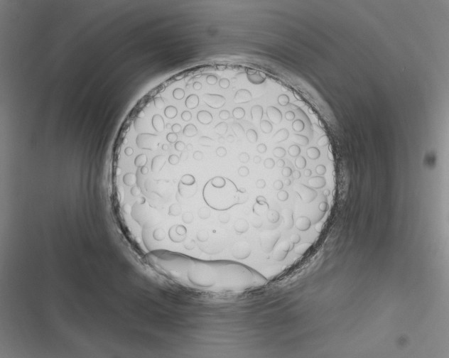X0000116331036201001131020