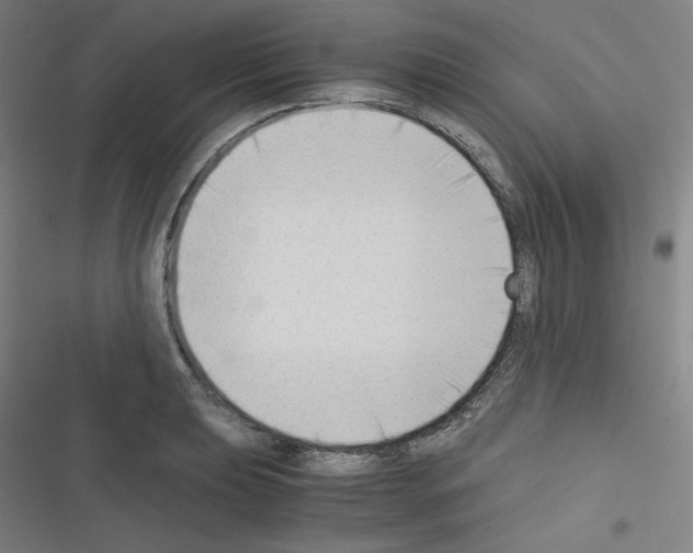 X0000116331039201001131020