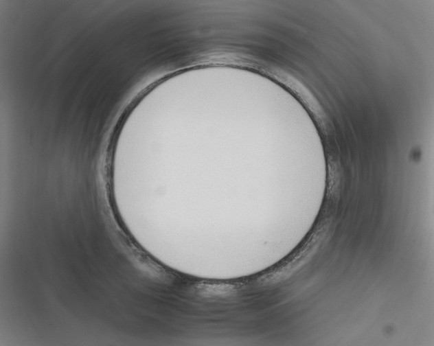 X0000116331043201001131020