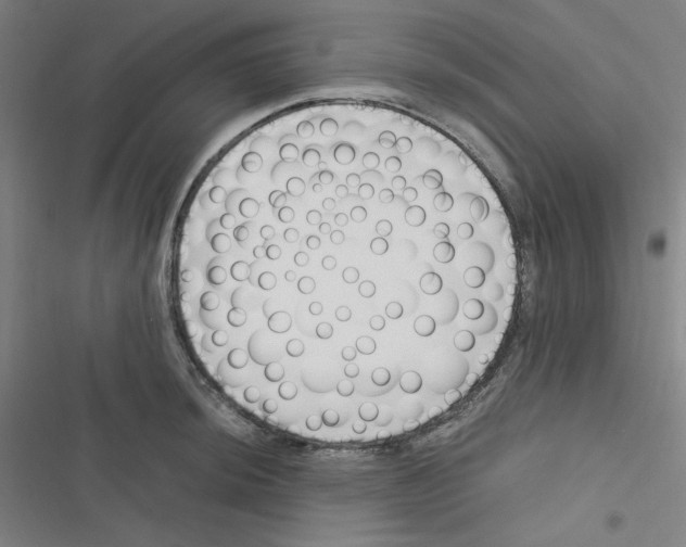 X0000116331044201001131020
