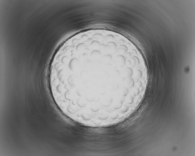 X0000116331045201001131020