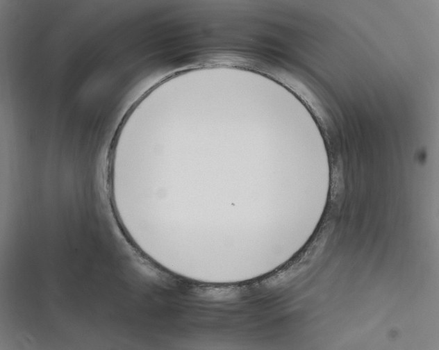 X0000116331047201001131020