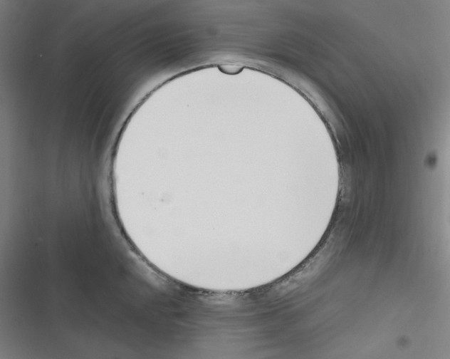 X0000116331048201001131020