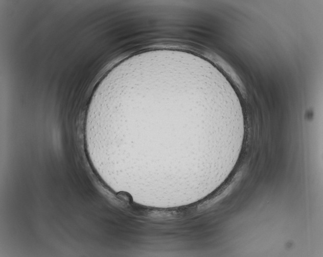X0000116331049201001131020