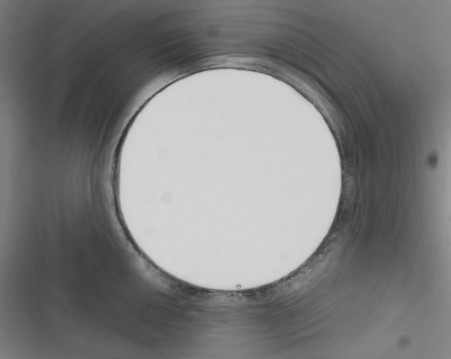 X0000116331050201001131020