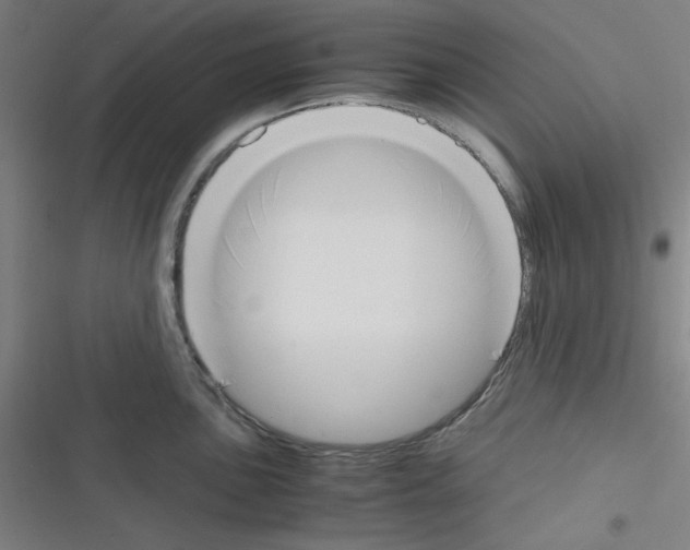 X0000116331051201001131020