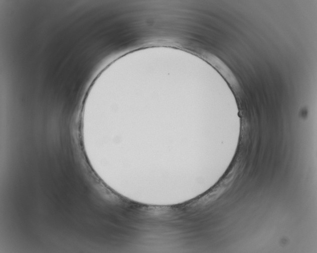 X0000116331052201001131020