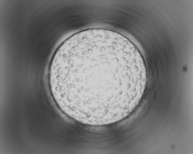 X0000116331053201001131020