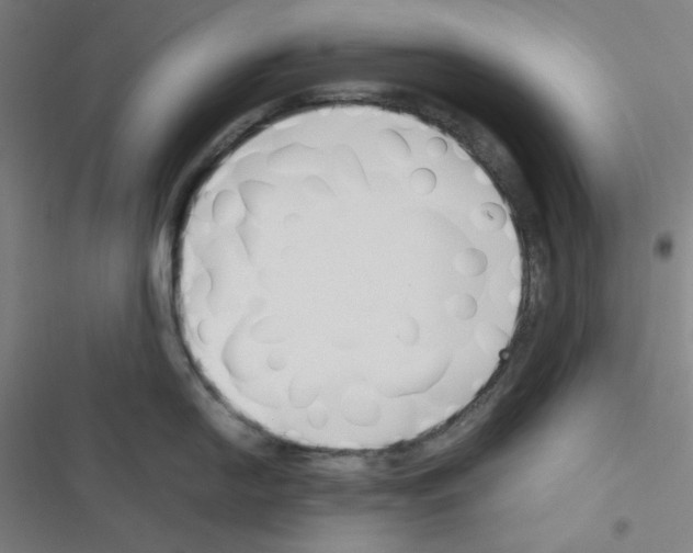X0000116331054201001131020