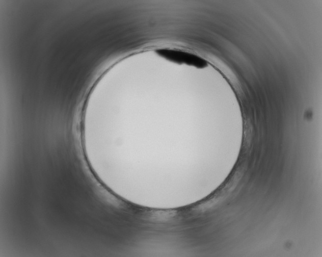 X0000116331055201001131020