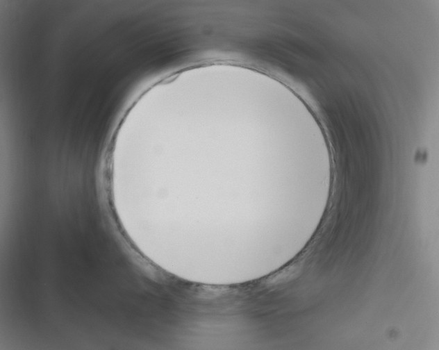 X0000116331056201001131020